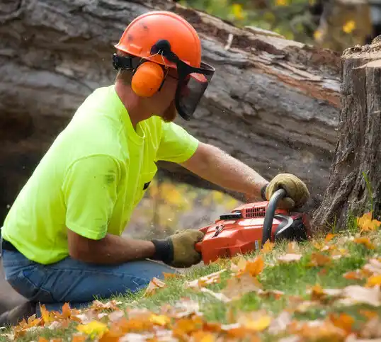 tree services Montague